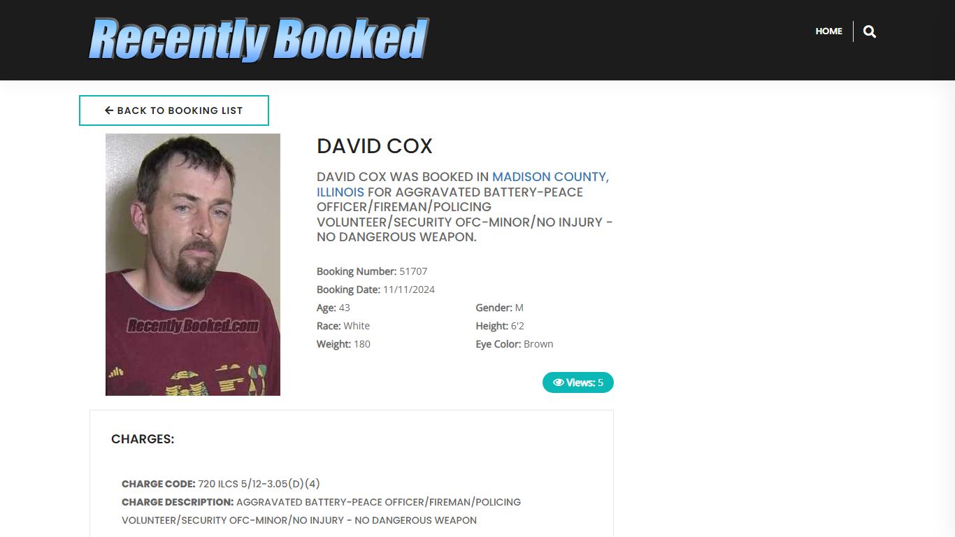 Recent Booking / Mugshot for DAVID COX in Madison County, Illinois